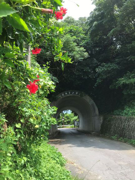 佳作（中学生の部）「アカバナーと運天トンネル」　神谷　心寧（小禄中学校　2年）