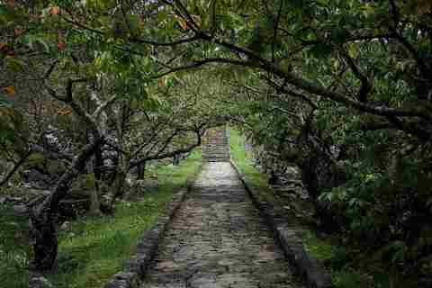 「林に囲まれて」宮城 宮徒(浦添工業高等学校2年)