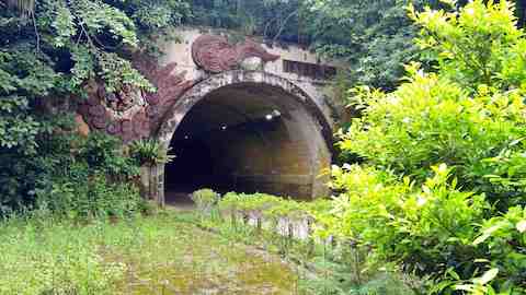 「トンネルの守護神」花谷 春馬(名蔵中学校1年)