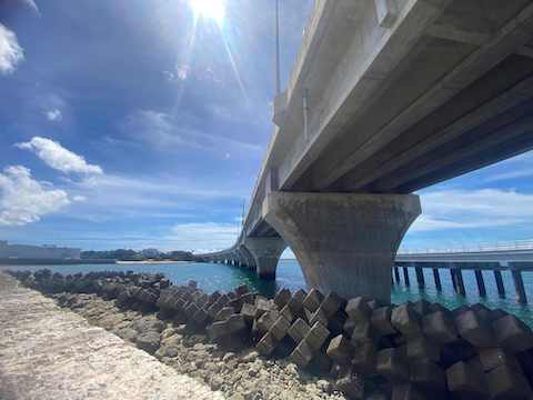 「支えるものたち」泊 マイケル尚央アレン(美里中学校2年)